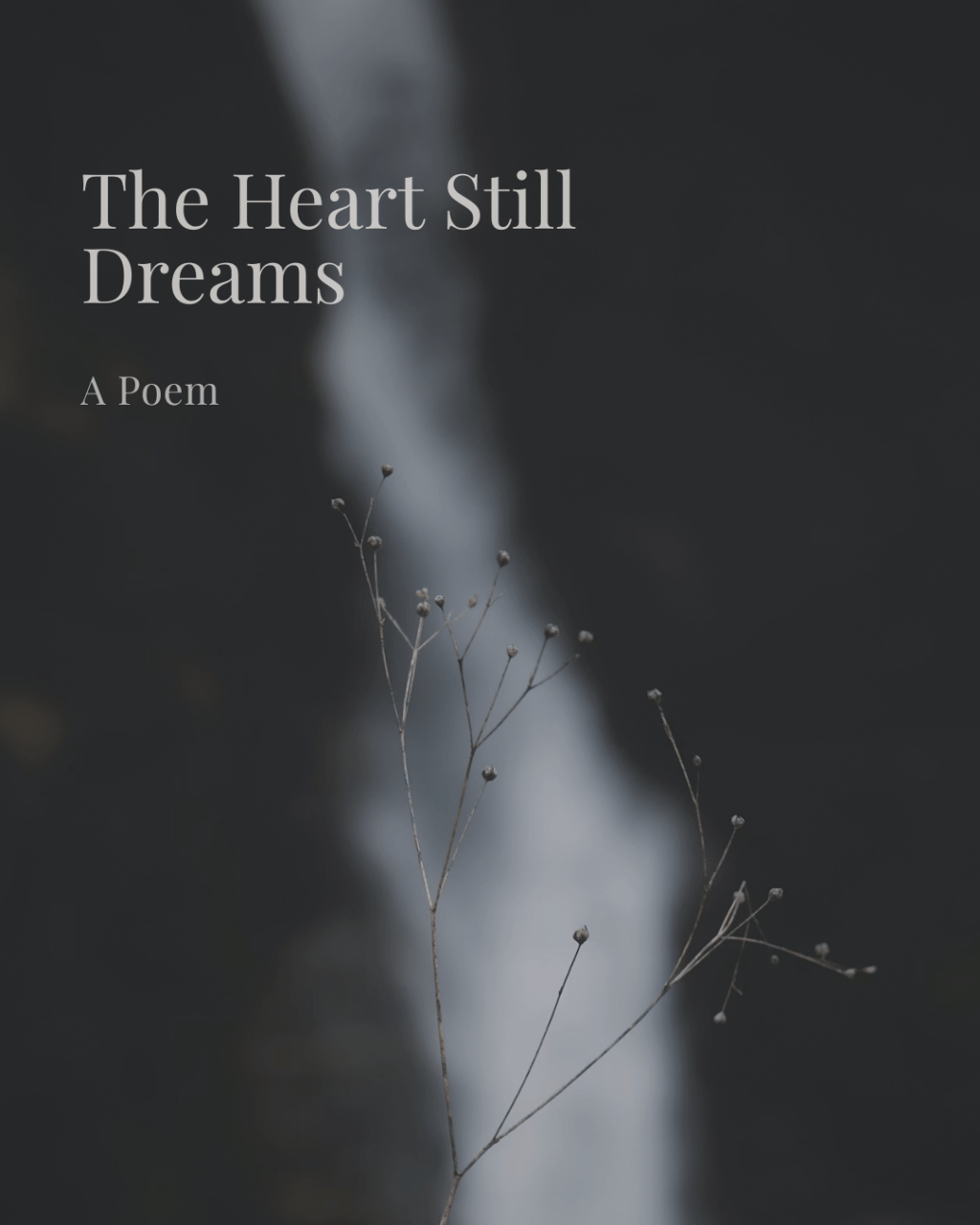 The Heart Still&nbsp;Dreams