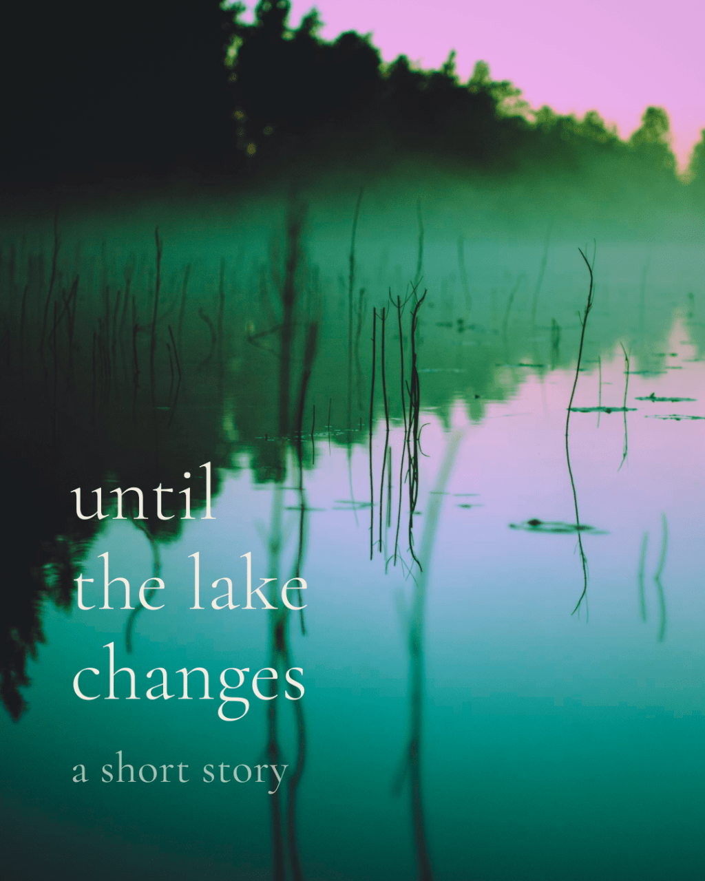 Until The Lake&nbsp;Changes